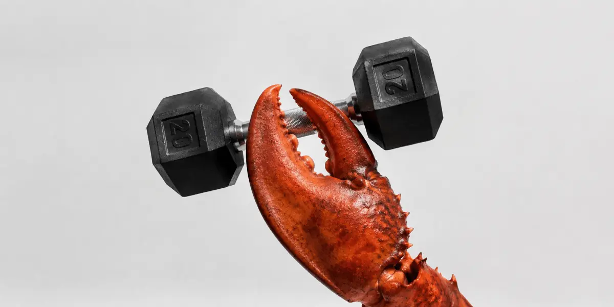 Agent Claude tấn công hệ thống đặt chỗ của phòng gym tại Úc 1 agent claude tan cong he thong dat cho cua phong gym tai uc