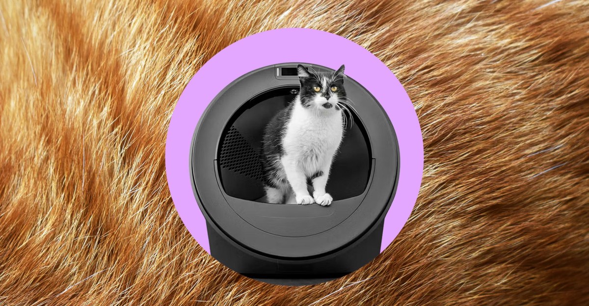 litter robot 5 pro ai cua whisker khong dap ung ky vong nguoi dung viet nen can nhac